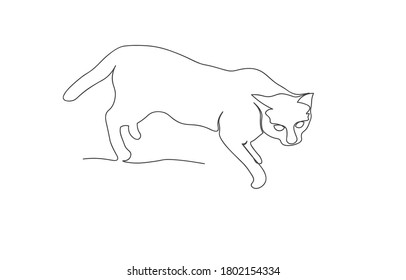 Continuous line drawing of Cat walking on floor