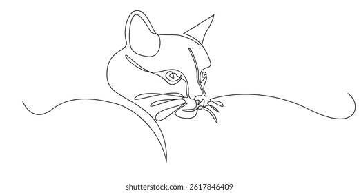 continuous line drawing of a cat's head.vector illustration of a line art drawing of a cat's face.isolated on white background