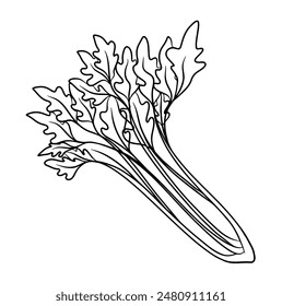 Continuous line drawing of Celery. Vector illustration.