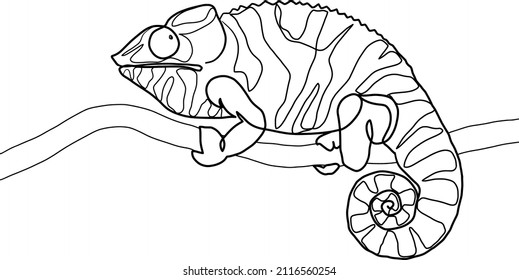 Continuous line drawing of chameleon on white background. Hand drawn minimalist modern abstract vector illustration