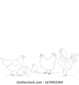 continuous line drawing of chickens and chicken, rooster