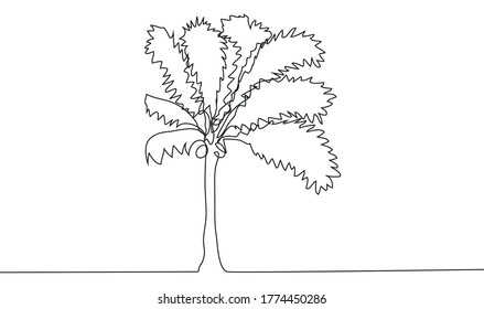 Continuous line drawing of coconut trees, nature concept, summer illustration