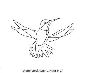 continuous line drawing of colibri birg flying