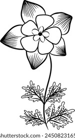 Continuous line drawing of columbine flower with leaves. Vector illustration