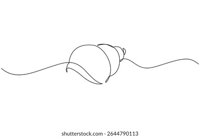 Continuous line drawing of conch snail shell. Single line illustration of ocean conch shell, Snail continuous one line drawing isolated on white background.