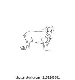 Continuous line drawing. cows in the field. Illustration icon vector