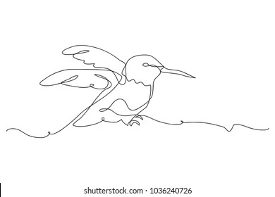 continuous line drawing of a cute bird vector illustration