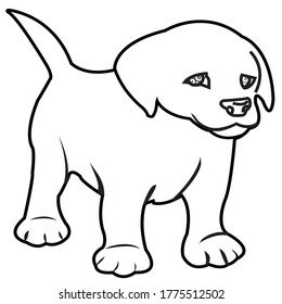 continuous line drawing of cute dog portrait footage
