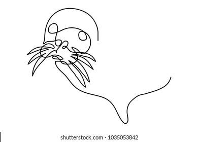 continuous line drawing of cute seals vector illustration