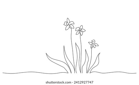 Continuous line drawing of daffodils. Sketch of spring flowers. Botanical art in minimalist style. Beauty vector illustration in retro style.