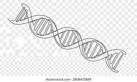 Continuous line drawing of a DNA helix structure, symbolizing genetics, science, and medical research, representing life's building blocks, molecular biology, and genetic engineering, scientific discovery, and health.