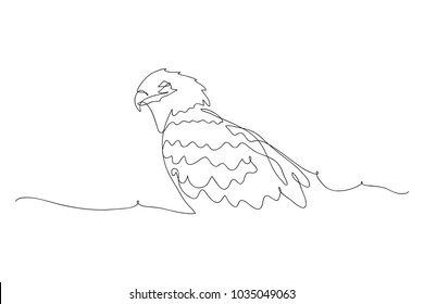 continuous line drawing of eagle wildlife vector illustration