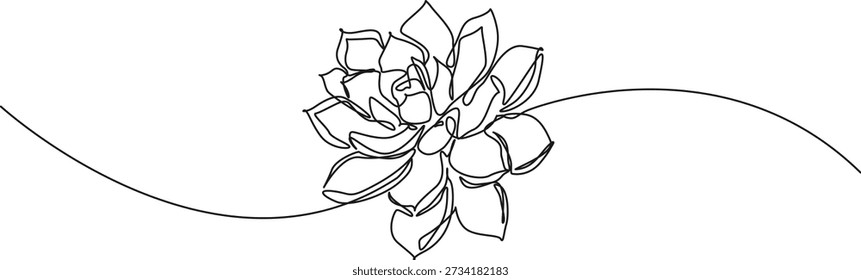 Dibujo de línea continua de planta suculenta de Echeveria, Ilustración vectorial de arte lineal