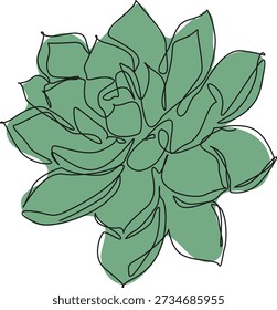 Dibujo de línea continua de planta suculenta de Echeveria, Ilustración vectorial de arte lineal