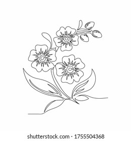 Continuous line drawing of elegant flowers. drawing flowers in one line style. Floral patterns with beautiful flowers isolated on white background.