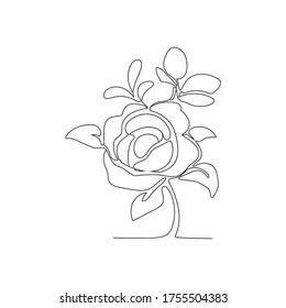 Continuous line drawing of elegant flowers. drawing flowers in one line style. Floral patterns with beautiful flowers isolated on white background.