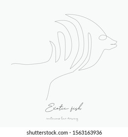 continuous line drawing. exotic fish. simple vector illustration. exotic fish concept hand drawing sketch line.