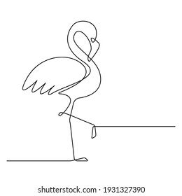 continuous line drawing flamingo. hand drawn vector illustration minimalism design.