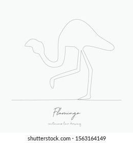 continuous line drawing. flamingo. simple vector illustration. flamingo concept hand drawing sketch line.