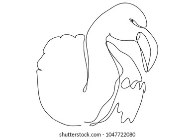 continuous line drawing of a flamingo vector illustration