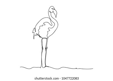 continuous line drawing of a flamingo vector illustration
