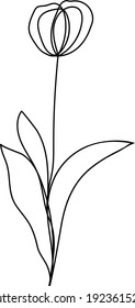 Continuous line drawing floral element, vector