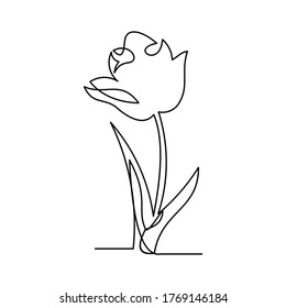 continuous line drawing of flower