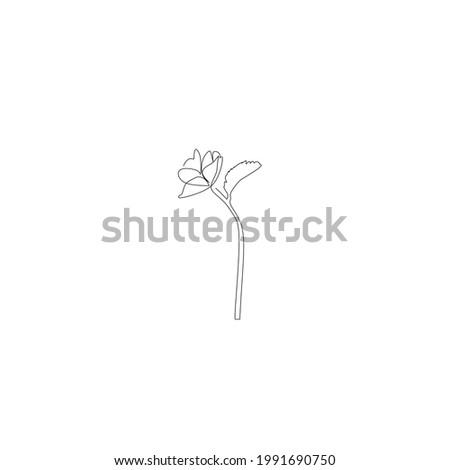 Continuous line drawing of flower, beatiful rose, object one line, single line art, vector illustration