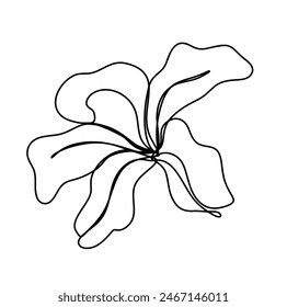 dibujo continuo de la línea de la flor aislada en fondo transparente. Ilustración vectorial