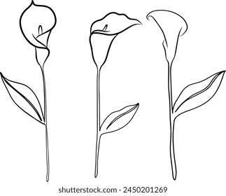 Continuous line drawing of flower with leaves. Vector illustration