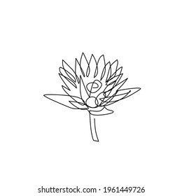 Continuous line drawing of flower, object one line, single line art, vector illustration