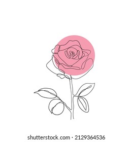 continuous line drawing flower plant illustration isolated vector