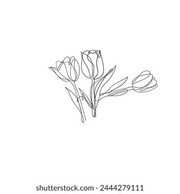 continuous line drawing flower plant illustration