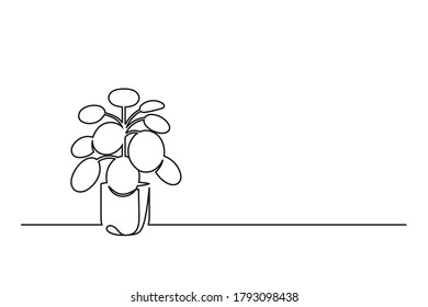 Continuous line drawing of a flower in a pot. Beautiful flower Isolated on a white background. Vector illustration