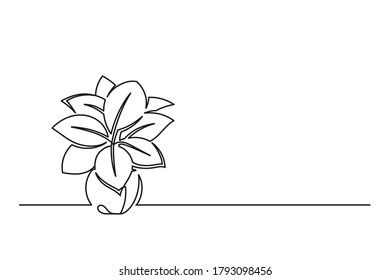 Continuous line drawing of a flower in a pot. Beautiful flower Isolated on a white background. Vector illustration