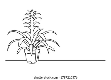 Continuous line drawing of a flower in a pot. Beautiful flower Isolated on a white background. Vector illustration