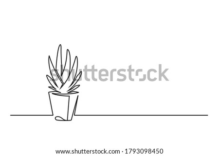 Continuous line drawing of a flower in a pot. Beautiful flower Isolated on a white background. Vector illustration