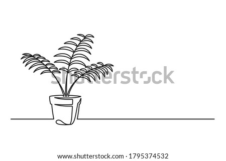 Continuous line drawing of a flower in a pot. Beautiful flower Isolated on a white background. Vector illustration