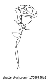 continuous line drawing of a flowers