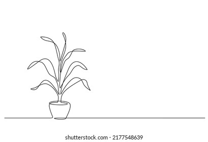 Continuous line drawing of a flowers in a pots. Tree in pot with single line art, Aesthetic Contour. Great for home decor, wall art posters, or T-shirt prints. Single line art of tree in doodle style