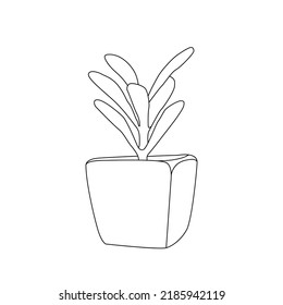 Continuous line drawing of a flowers pots. Beautiful flowers isolated white background. Vector illustration