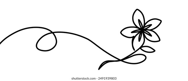 Continuous line drawing flowers. Simple linear style. Vector ilustration