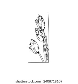 Flores y tulipanes de dibujo continuo. Vector de iconos de ilustración. Flor de belleza de diseño conceptual