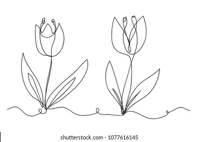 continuous line drawing of flowers vector illustration
