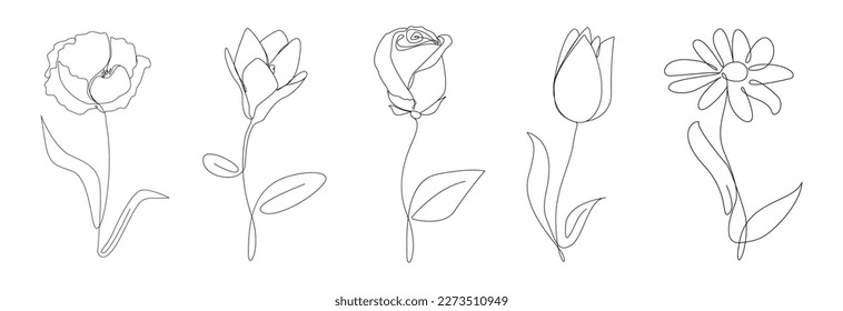 Continuous line drawing of flowers.Poppy,magnolia,tulip,rose ,camomile with leaves one line drawing.Hand drawn flowers.Single one line flowers set .Flowers outline sketch.