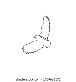 Continuous line drawing of flying eagle. American symbol of freedom isolated on white background