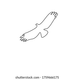 Continuous line drawing of flying eagle. American symbol of freedom isolated on white background