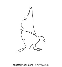 Continuous line drawing of flying eagle. American symbol of freedom isolated on white background