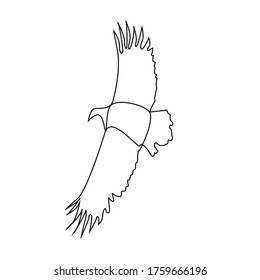 Continuous Line Drawing Flying Eagle American Stock Vector (Royalty ...