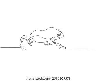 Continuous line drawing of frog. Single line illustration of frog animal. Amphibian animal, wildlife concept. Editable outline
